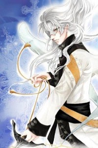 乌鸦飞过
